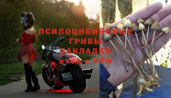 спиды Алексеевка